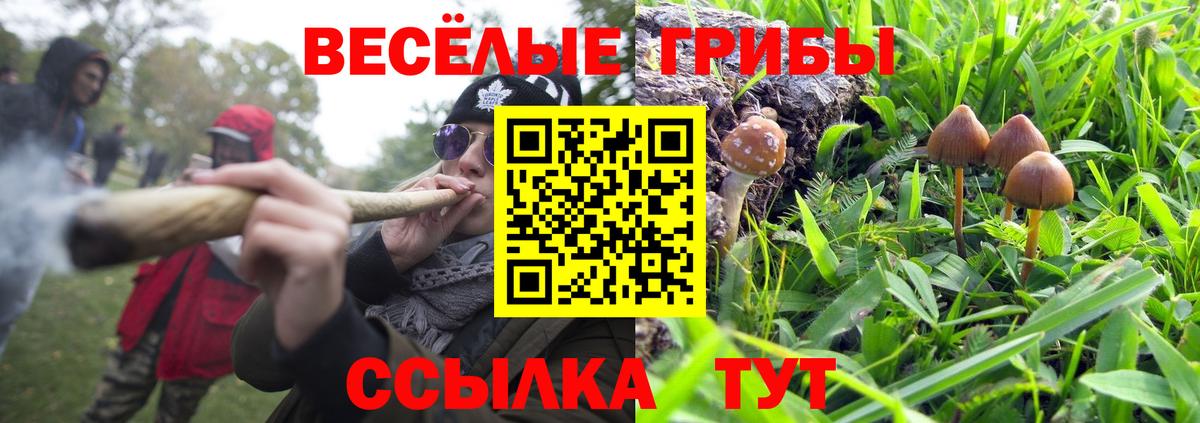 Псилоцибиновые грибы GOLDEN TEACHER  Вход с VPN  Лениногорск  Галлюциногенные грибы Cubensis 