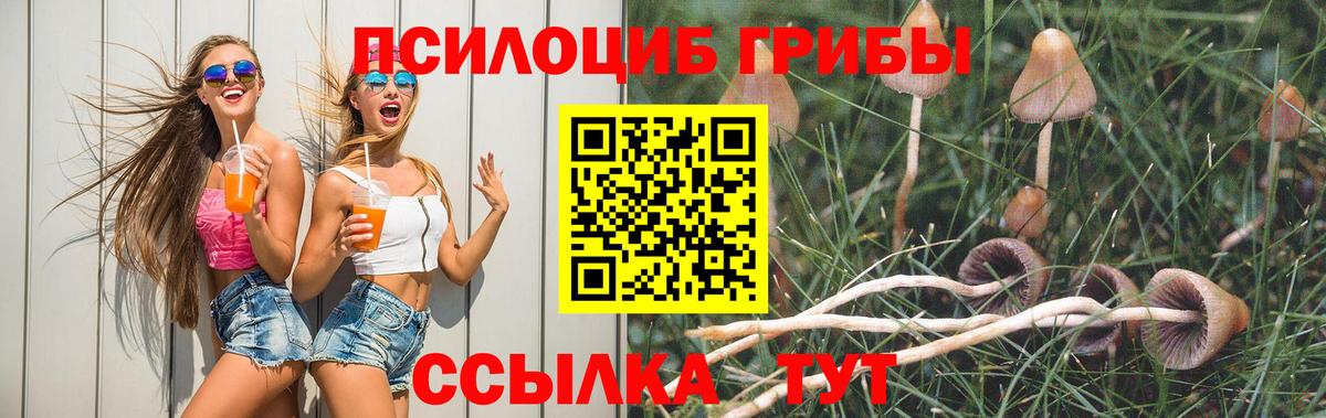 A PVP Лениногорск